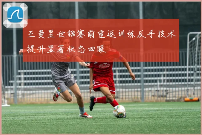 王曼昱世锦赛前重返训练反手技术提升显著状态回暖