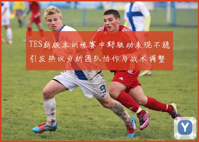 TES新版本训练赛中野联动表现不稳引发热议分析团队协作与战术调整必要性
